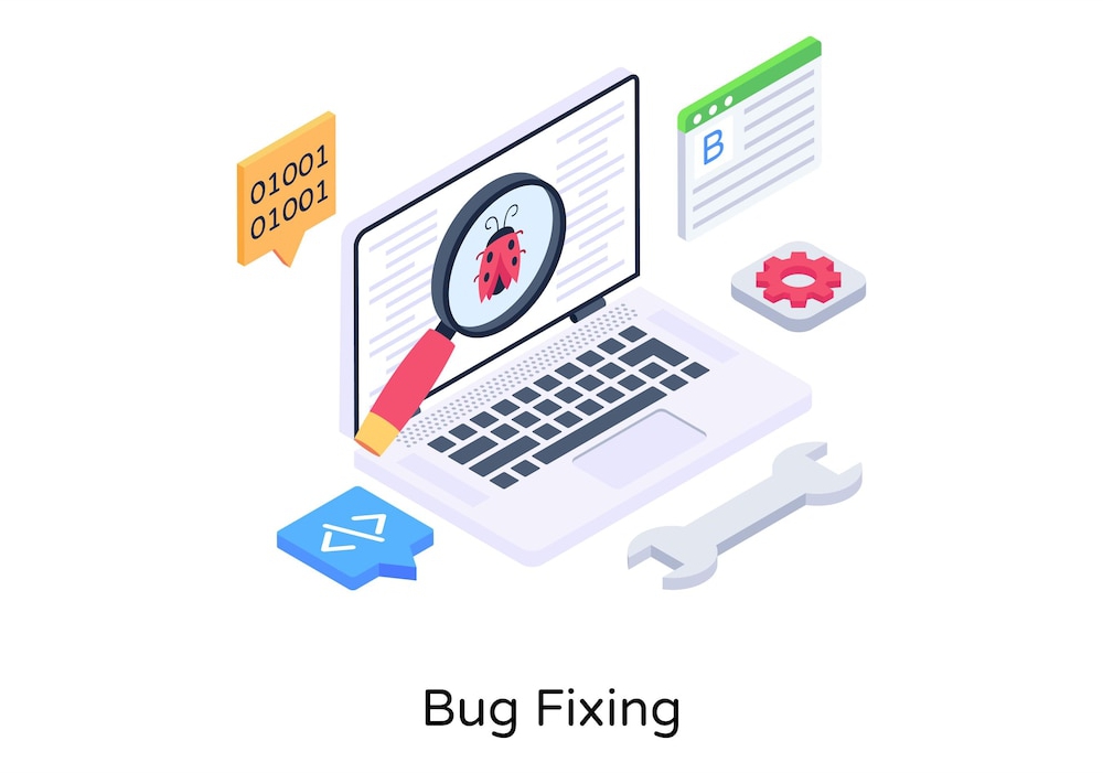 Website bug fixing